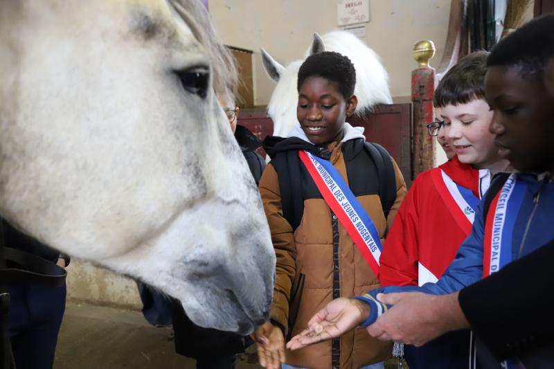visite-CMJ-garde-republicaine-et-senat2905-2024IMG0767resultat