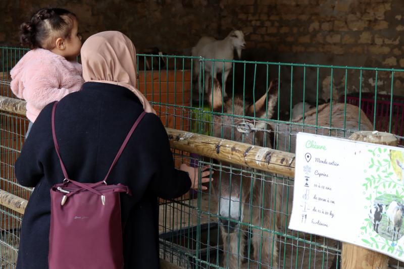 une-journee-a-la-ferme-special-printemps16-04-251043resultat