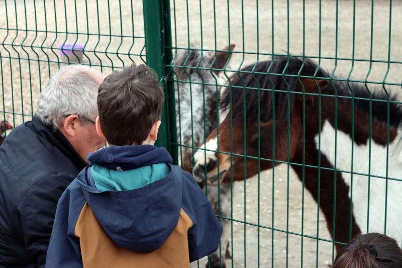 une-journee-a-la-ferme-special-printemps16-04-251095resultat