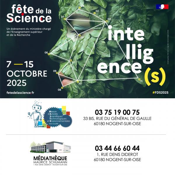 NUMERIQUE-programme-FDS-202527