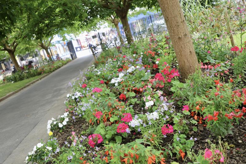 Nogent-a-la-mer-Berck17-07-25IMG1207resultat