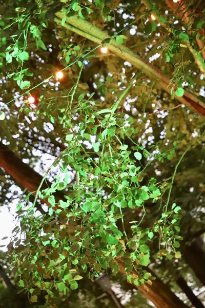 soiree-guinguette30-08-25IMG2572resultat