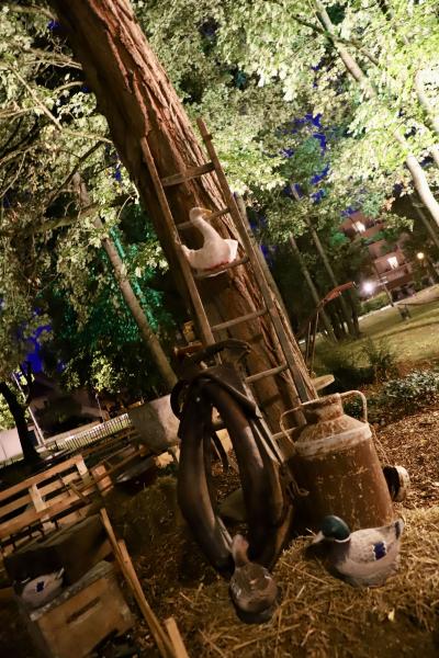 soiree-guinguette30-08-25IMG2624resultat