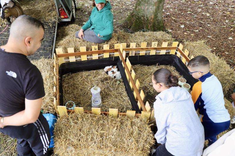 un-dimanche-a-la-campagne31-08-25IMG2635resultat