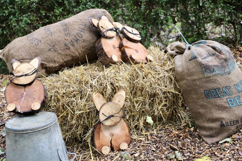 un-dimanche-a-la-campagne31-08-25IMG2636resultat