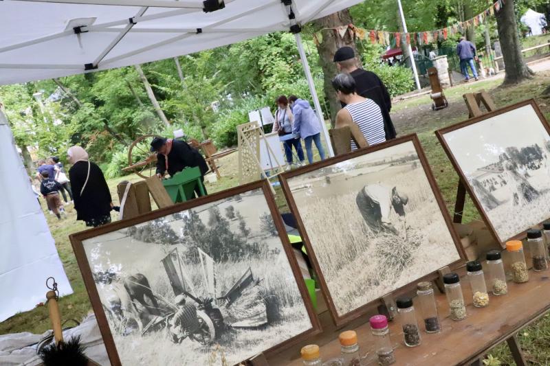 un-dimanche-a-la-campagne31-08-25IMG2695resultat