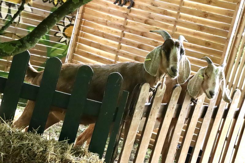 un-dimanche-a-la-campagne31-08-25IMG2700resultat