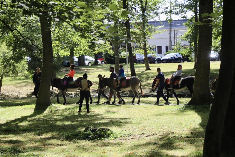 un-dimanche-a-la-campagne31-08-25IMG2713resultat