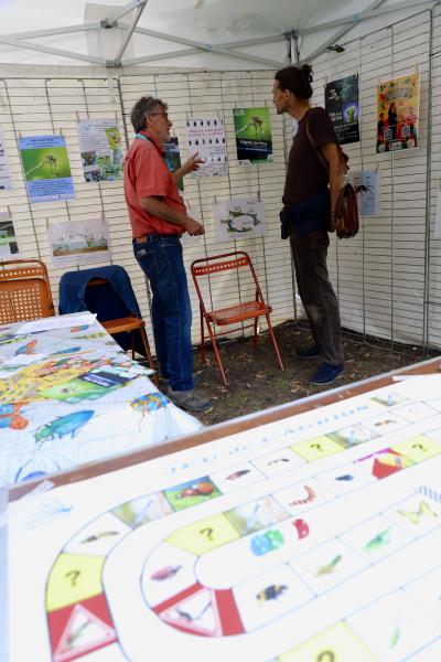 un-dimanche-a-la-campagne31-08-25IMG2745resultat