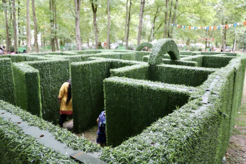 un-dimanche-a-la-campagne31-08-25IMG2917resultat