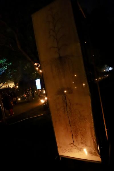 Festival-Mosaique-dArbre-en-arbre-26-09-25IMG3653resultat