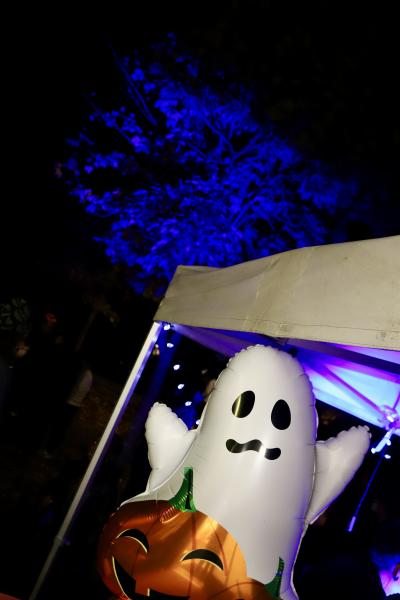 frissons-sur-les-rochers21-10-25IMG5010resultat