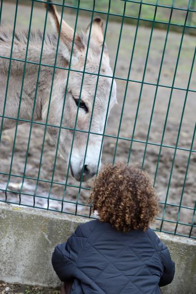 Peur-sur-la-ferme31-10-25IMG5349resultat