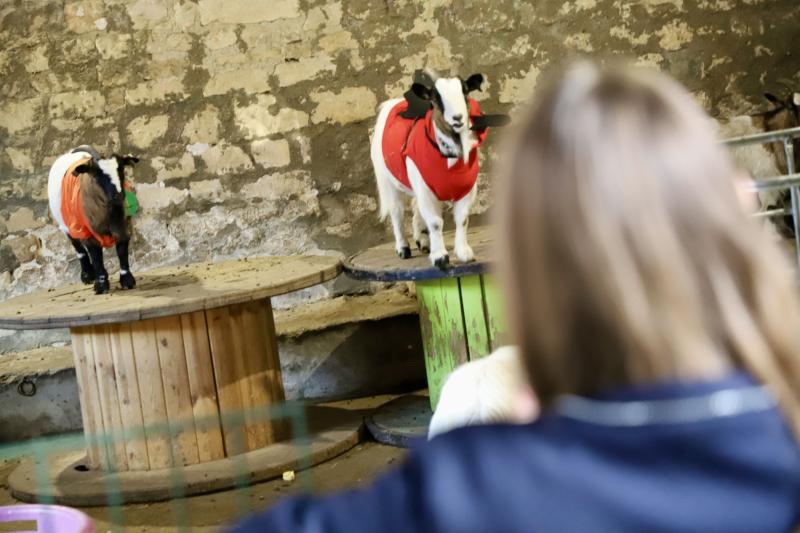 Peur-sur-la-ferme31-10-25IMG5362resultat