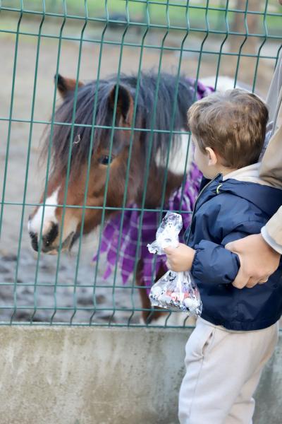 Peur-sur-la-ferme31-10-25IMG5383resultat