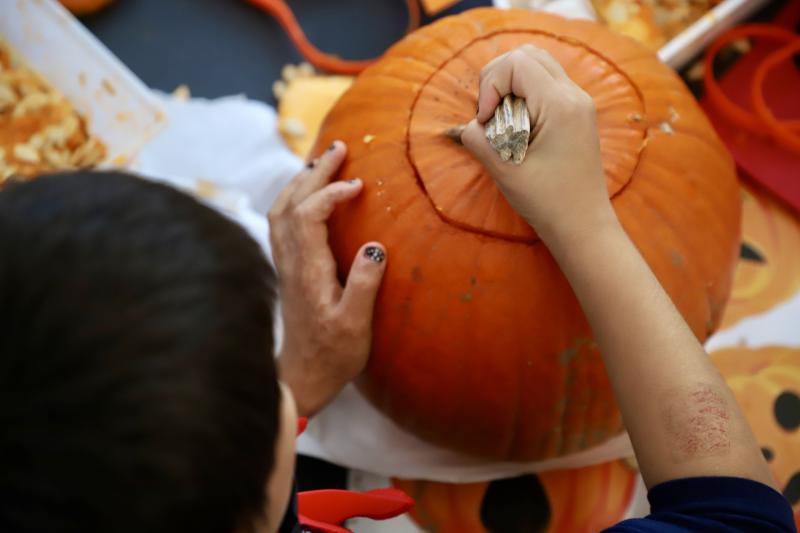 Peur-sur-la-ferme31-10-25IMG5403resultat