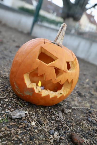 Peur-sur-la-ferme31-10-25IMG5412resultat