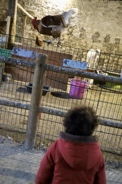 Peur-sur-la-ferme31-10-25IMG5415resultat