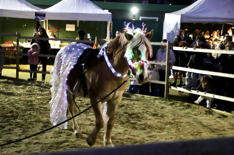 en-attendant-noel13-12-25IMG8053resultat