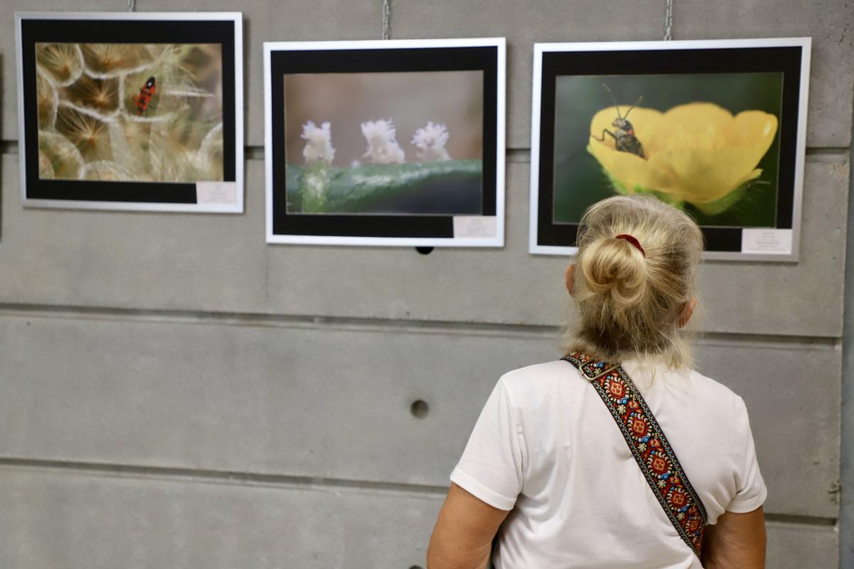 Vernissage-de-l-exposition-des-photos-du-concours-des-insectes-de-france19-09-26IMG9780resultat