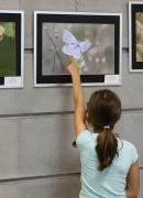 Vernissage-de-l-exposition-des-photos-du-concours-des-insectes-de-france19-09-26IMG9777resultat