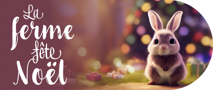 NUMERIQUE_La_ferme_fete_Noel_Site_Internet_Agenda