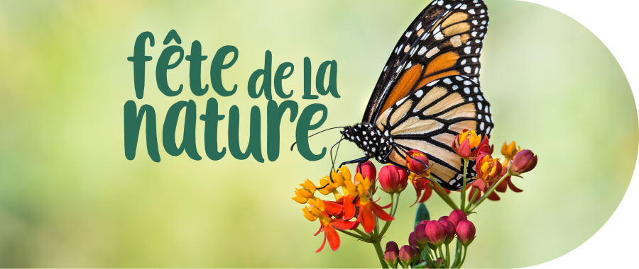 NUMERIQUE_SIAgenda_FeteNature_29juillet