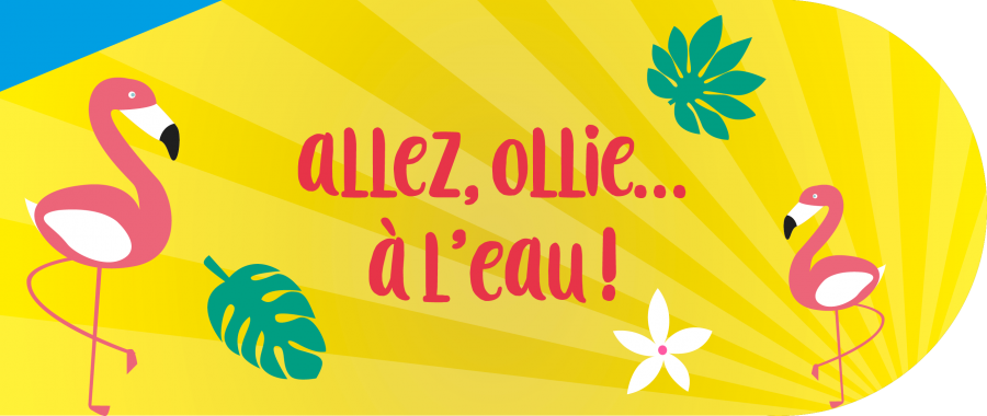 SIA_allez_ollie_a_leau