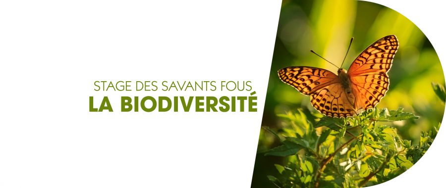 SIA_Biodiversite