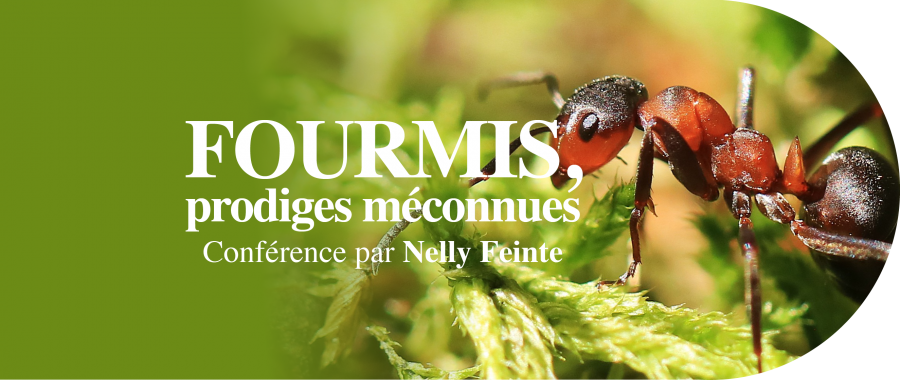 SiA-Conference-Agrion-7-mars-2026