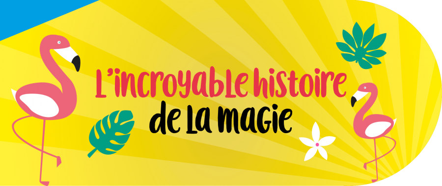 SIA_incroyable_histoire_magie