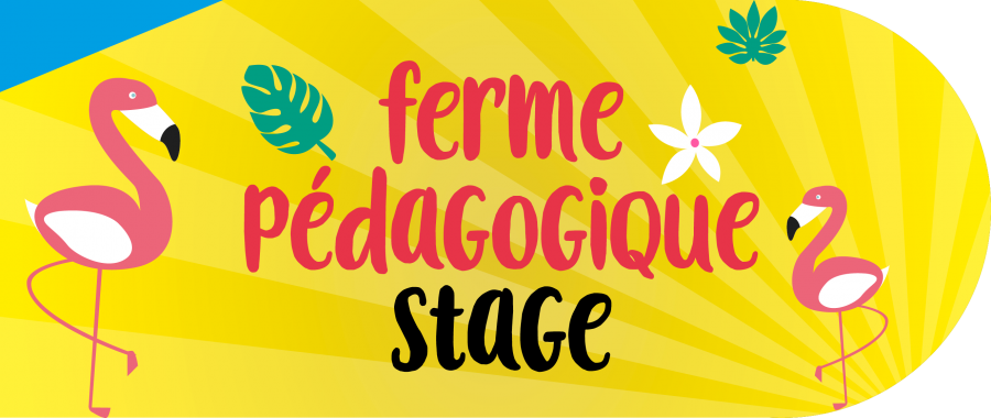SIA_stage_ferme